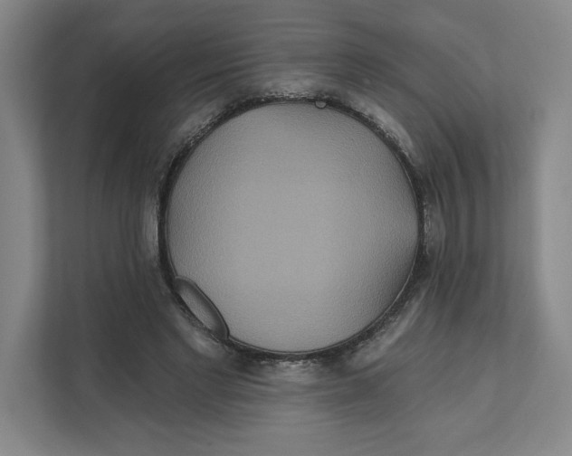 X0000111820493200908201133