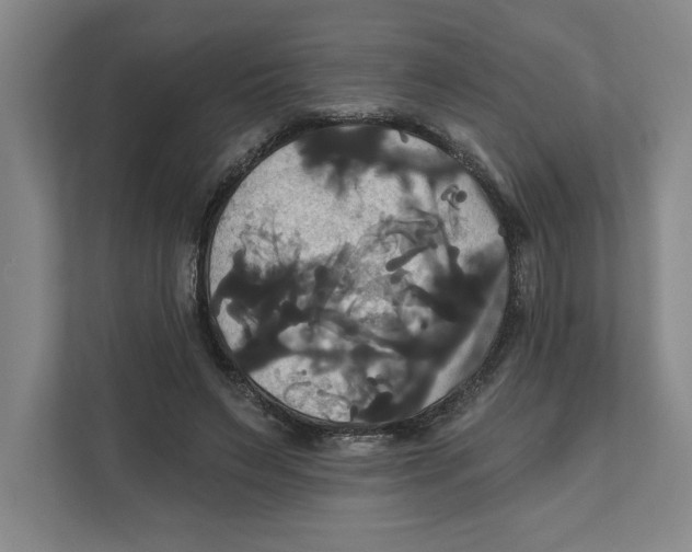 X0000111820495200908201133