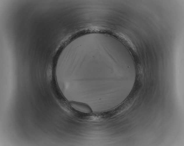 X0000111820496200908201133