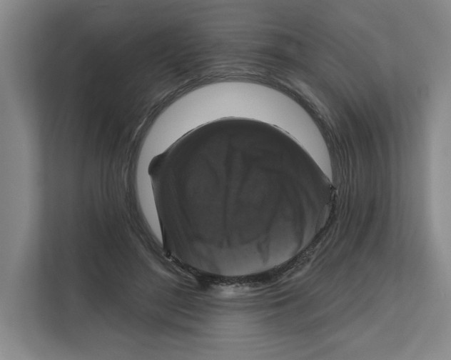 X0000111820500200908201133