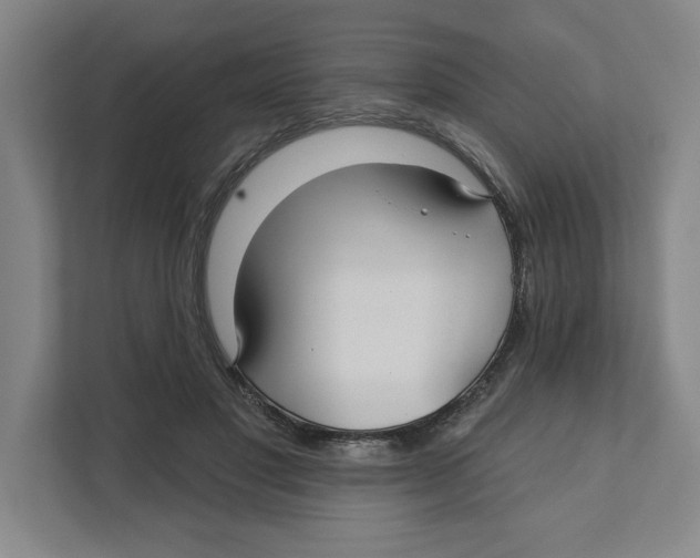 X0000111820501200908201133
