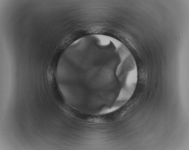 X0000111820503200908201133