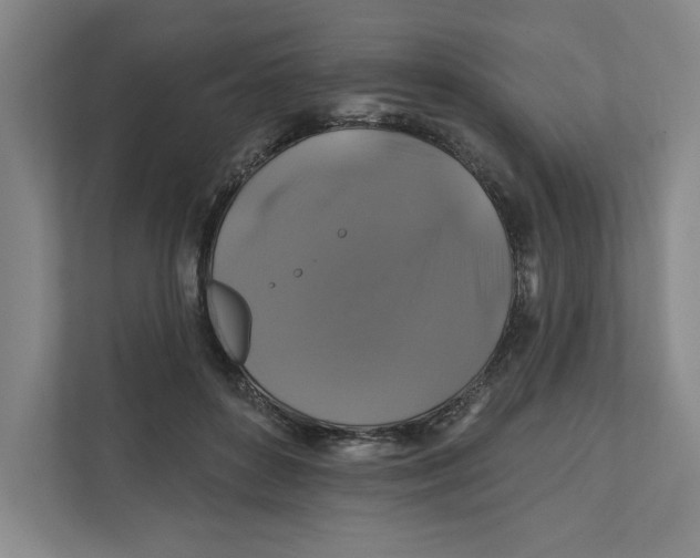 X0000111820504200908201133