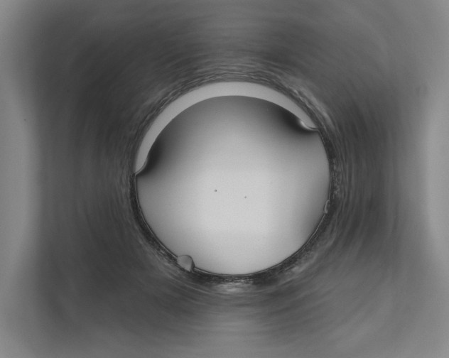 X0000111820505200908201133