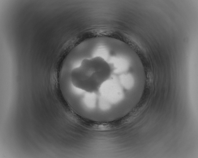 X0000111820506200908201133