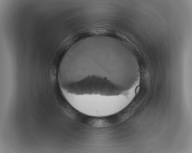 X0000111820507200908201133