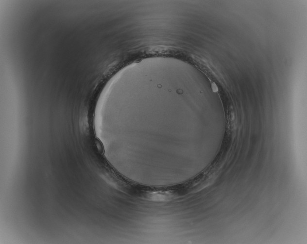 X0000111820508200908201133