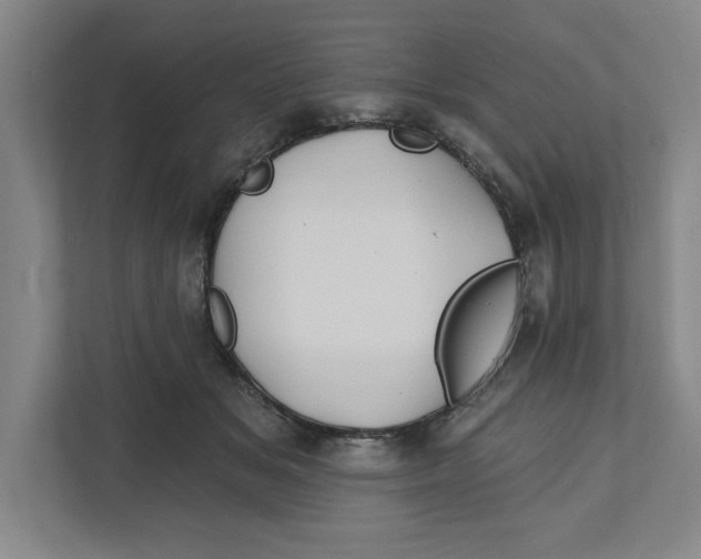 X0000111820509200908201133