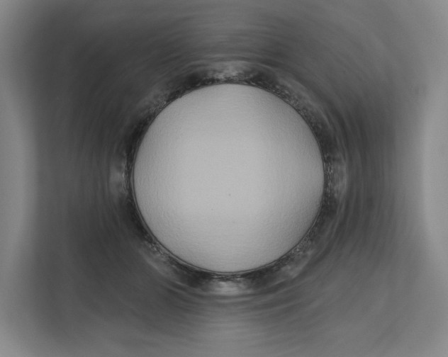 X0000111820510200908201133