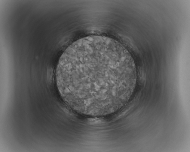 X0000111820511200908201133