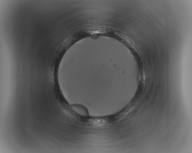 X0000111820512200908201133