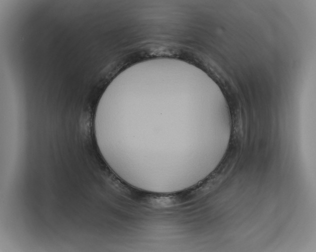 X0000111820513200908201133