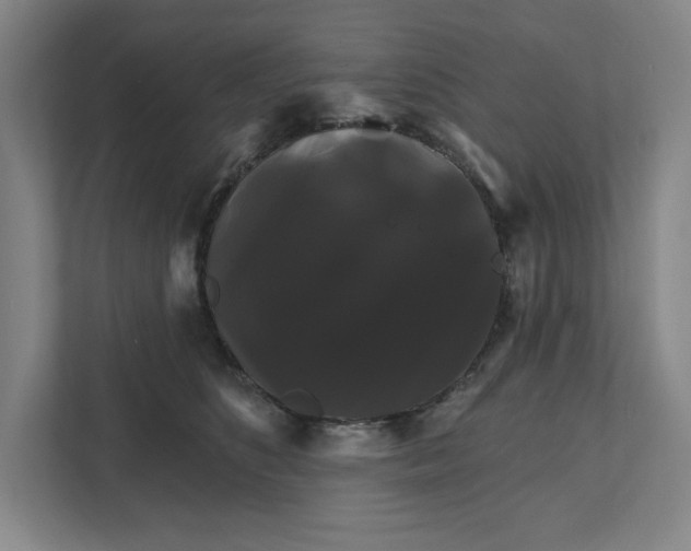 X0000111820516200908201133