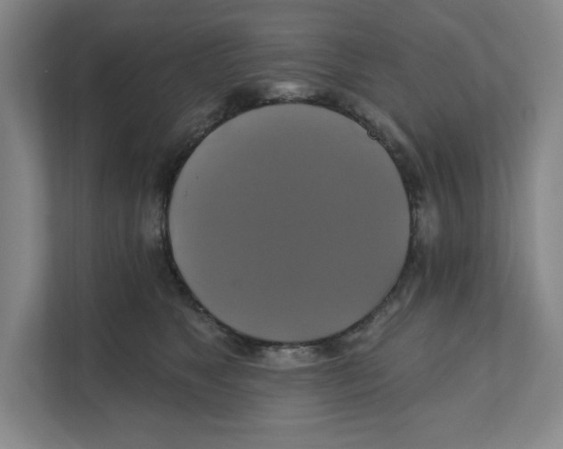 X0000111820517200908201133