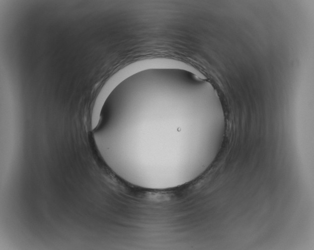 X0000111820520200908201133