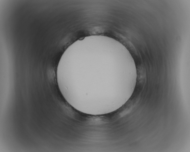 X0000111820523200908201133