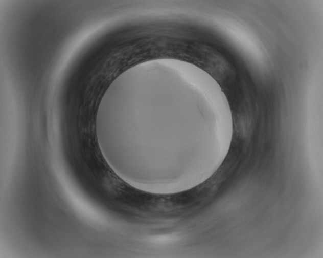 X0000111820526200908201133