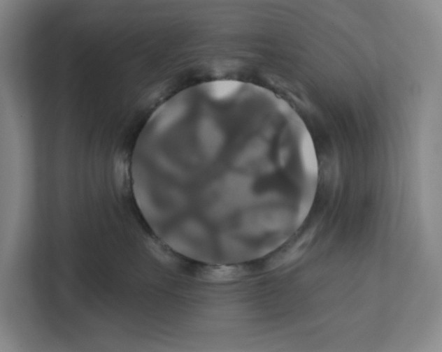 X0000111820527200908201133