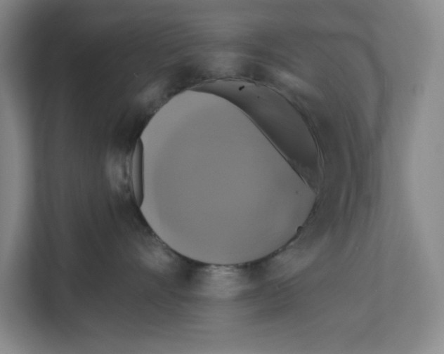 X0000111820528200908201133