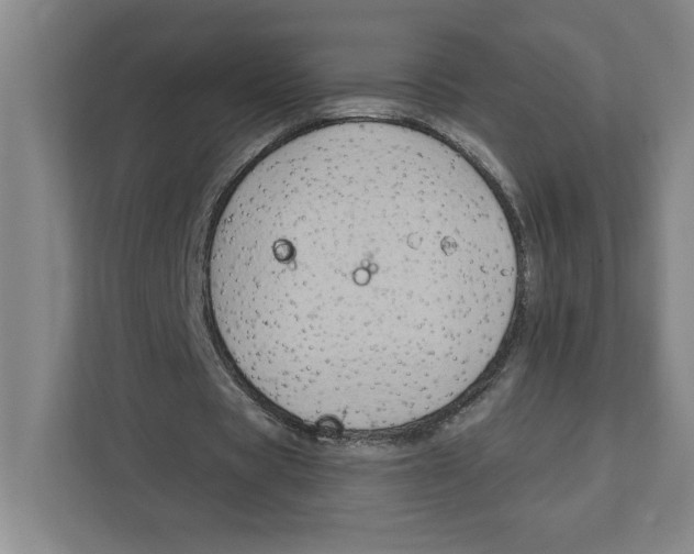 X0000111820529200908201132