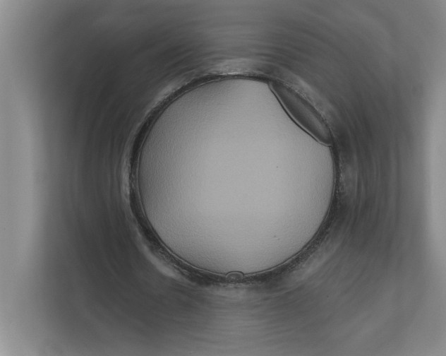 X0000111820530200908201132
