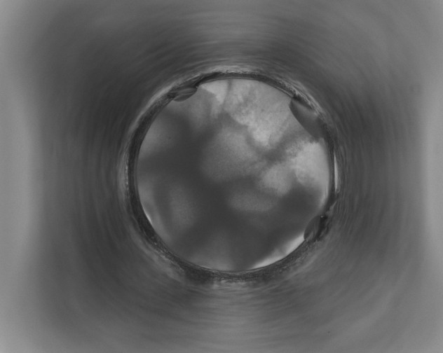 X0000111820531200908201132
