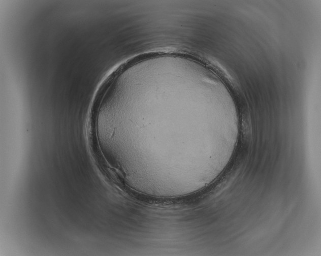 X0000111820532200908201132