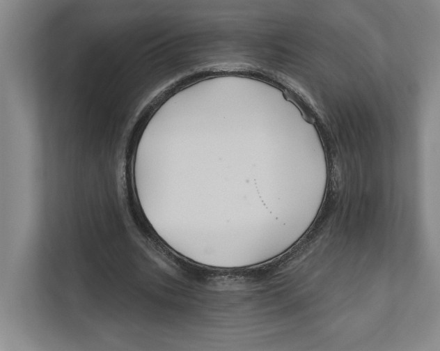 X0000111820535200908201132
