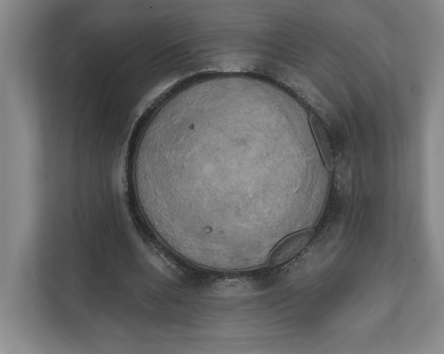 X0000111820536200908201132