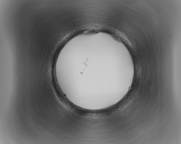 X0000111820538200908201133
