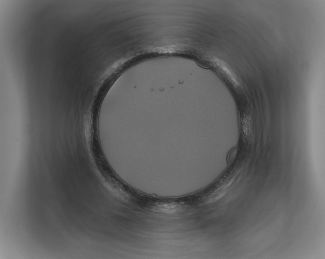 X0000111820540200908201133