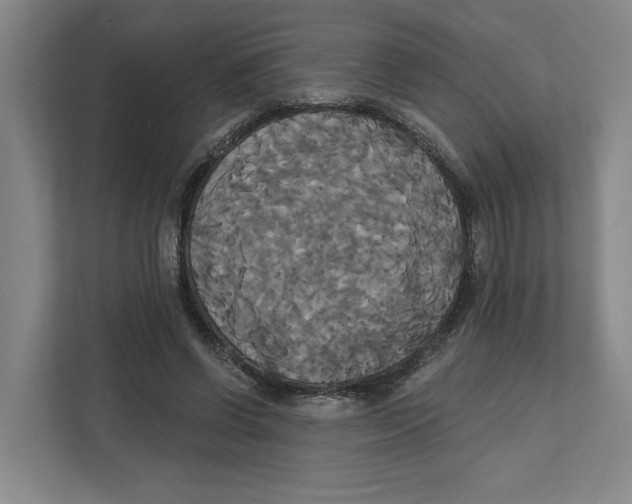 X0000111820542200908201133