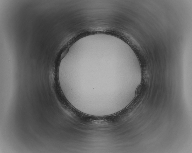 X0000111820544200908201133