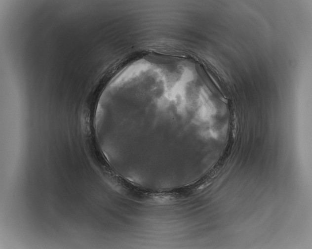 X0000111820547200908201133