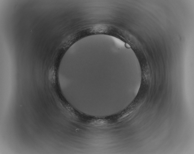 X0000111820551200908201133