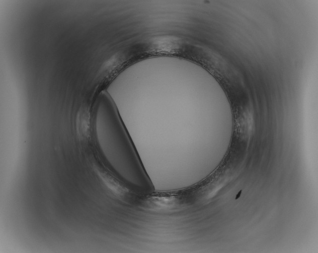 X0000111820552200908201133