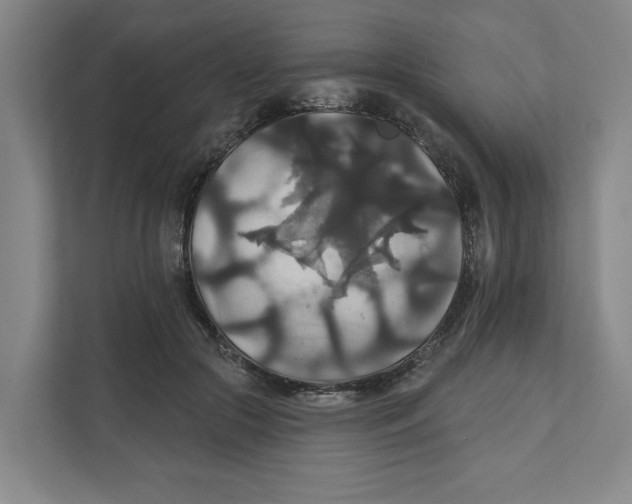 X0000111820553200908201133