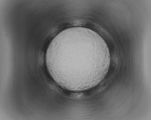 X0000111820554200908201133