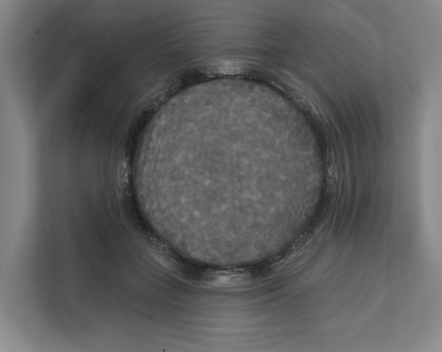 X0000111820555200908201133