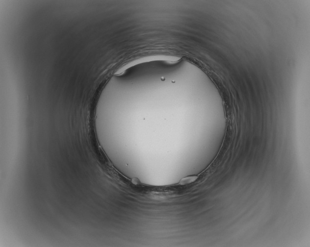 X0000111820556200908201133