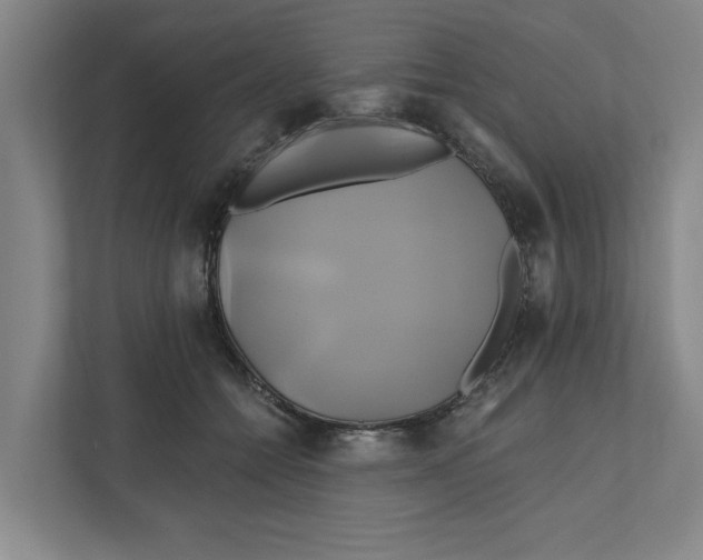X0000111820558200908201133