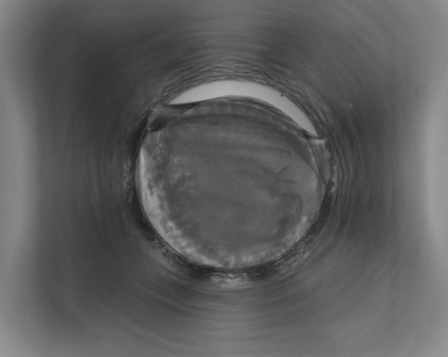 X0000111820559200908201133