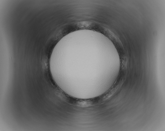 X0000111820561200908201133