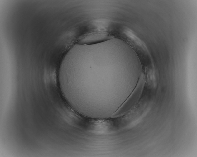 X0000111820562200908201133