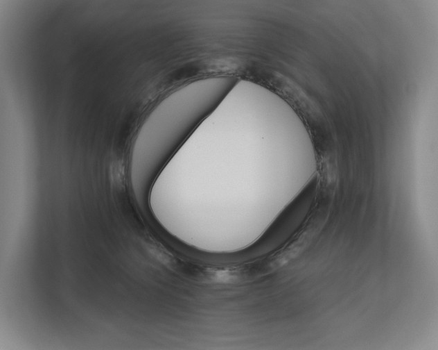 X0000111820564200908201133