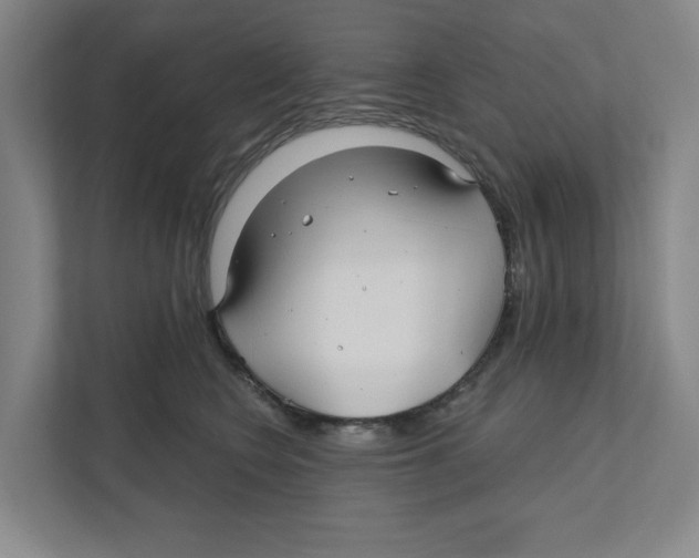 X0000111820566200908201133