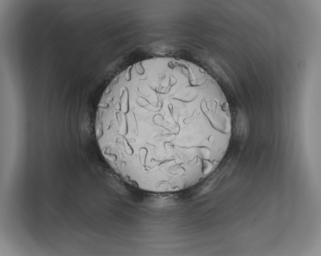 X0000111820569200908201133