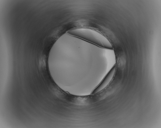 X0000111820570200908201133
