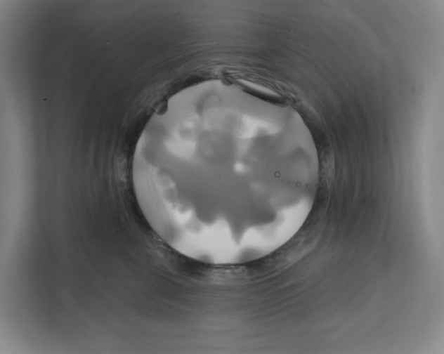 X0000111820571200908201133