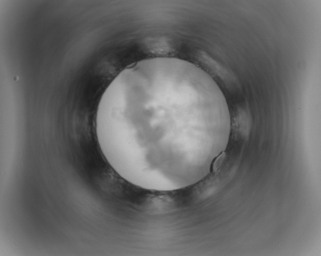 X0000111820572200908201133
